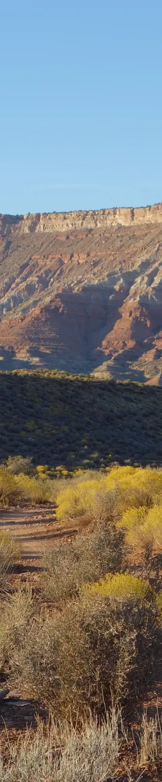 Erlebe den Zion Nationalpark in Utah